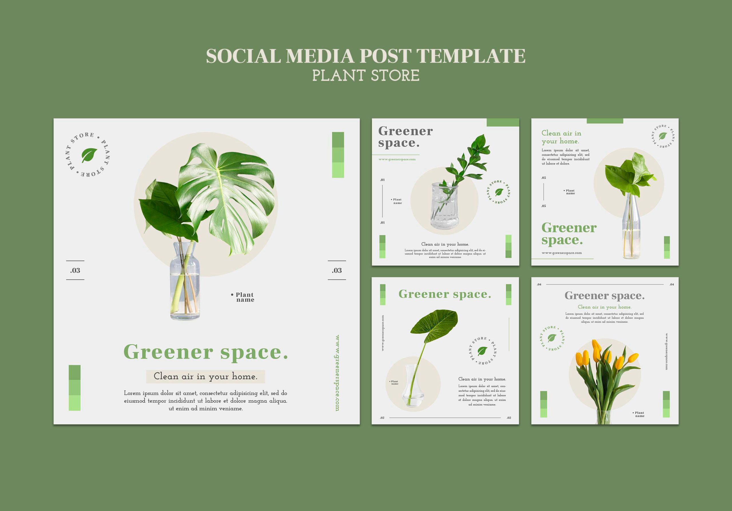 Làm catalogue đơn giản